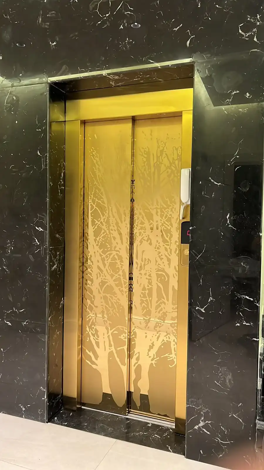 كابينة مصعد بتصميم عصري - رواد الثقة